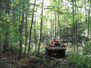 Forêt privée